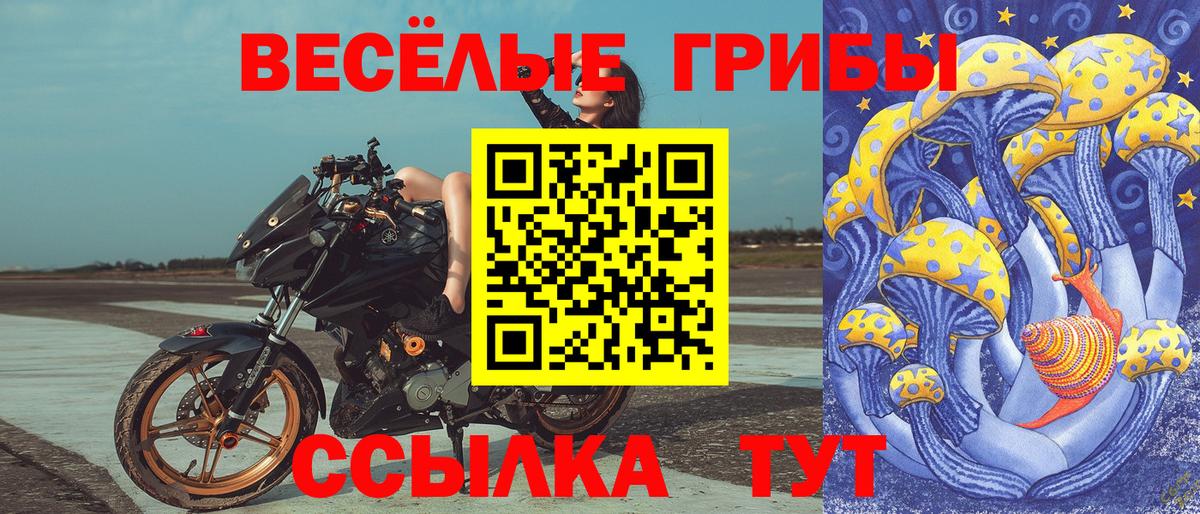 Галлюциногенные грибы Magic Shrooms Кисловодск