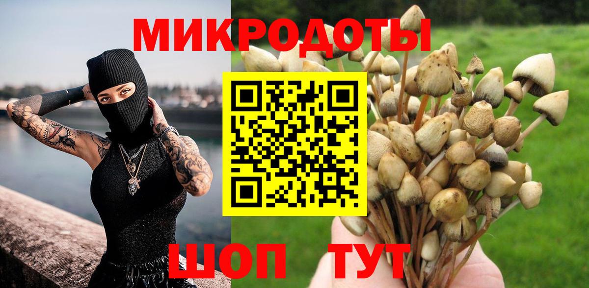 Кисловодск  Псилоцибиновые грибы GOLDEN TEACHER  Вход с VPN 